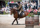 Pferd International 152